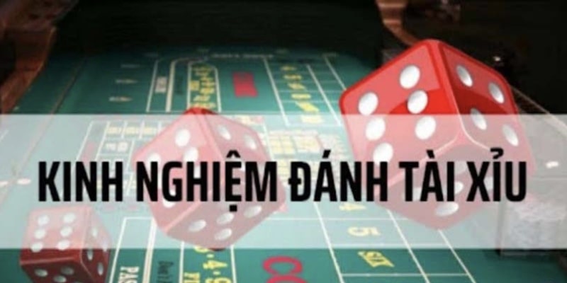 Áp dụng giúp tăng cao tỷ lệ chiến thắng